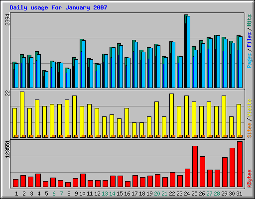 Daily usage for January 2007