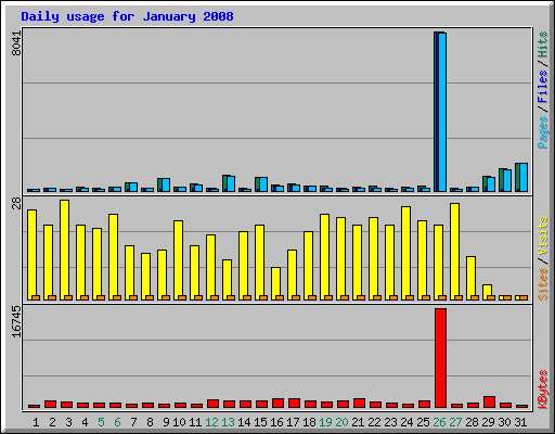 Daily usage for January 2008