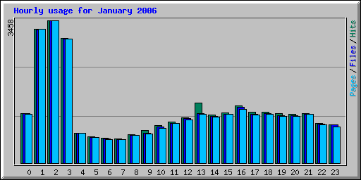 Hourly usage for January 2006