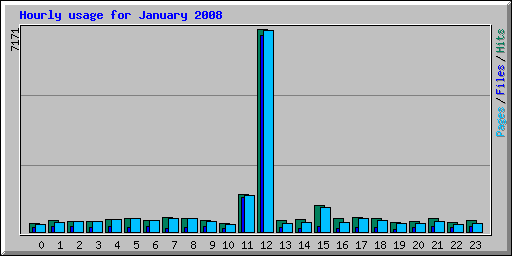 Hourly usage for January 2008