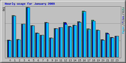Hourly usage for January 2009